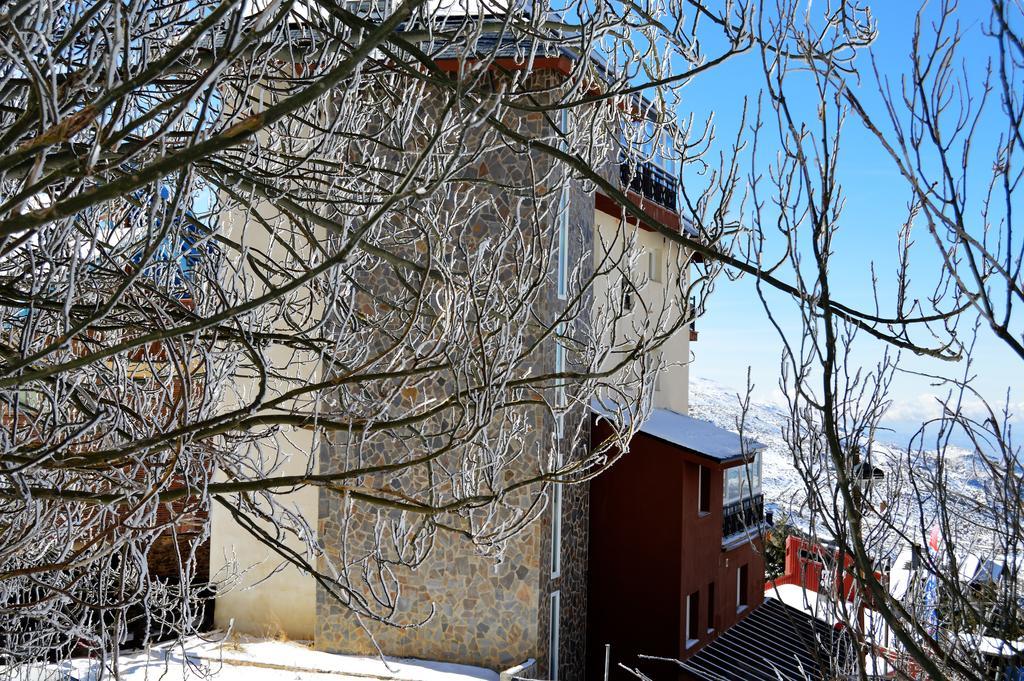 Sierra Nevada Rent Superior Leilighet Eksteriør bilde